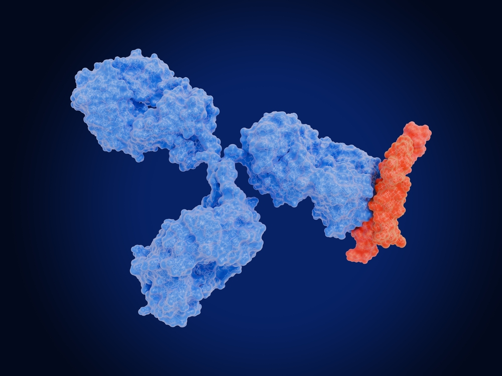 Therapeutic,Antibody,Blocks,The,Proinflammatory,Cytokine,Interleukin,11.,Nterleukin,11