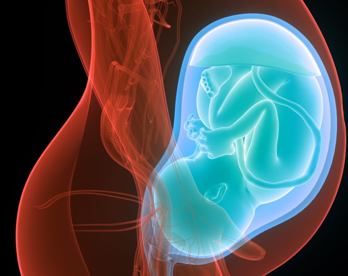 Fetal-medicine